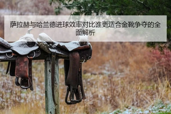 萨拉赫与哈兰德进球效率对比谁更适合金靴争夺的全面解析