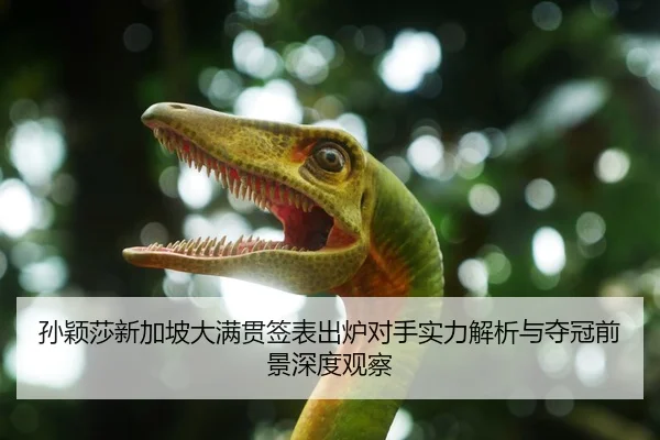 孙颖莎新加坡大满贯签表出炉对手实力解析与夺冠前景深度观察